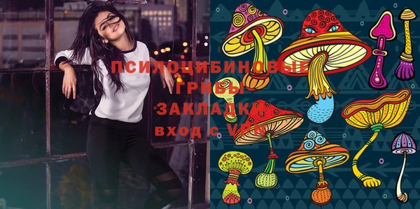 ПСИЛОЦИБИНОВЫЕ ГРИБЫ Лихославль