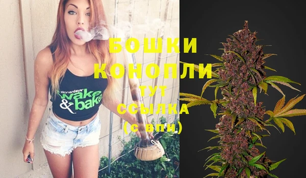 ешки Лиски