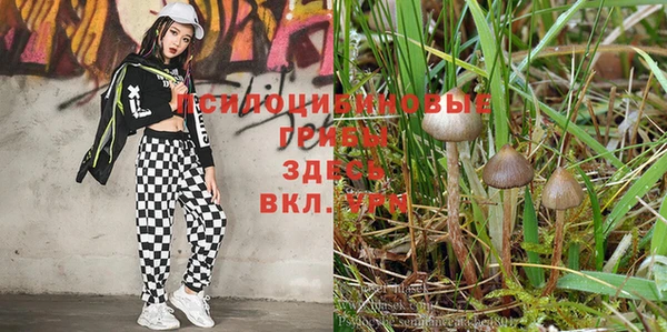 ешки Лиски