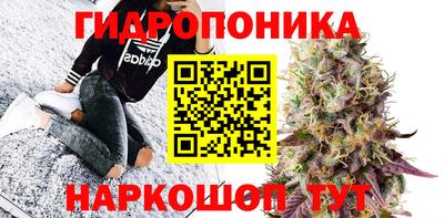 гидра Дубна