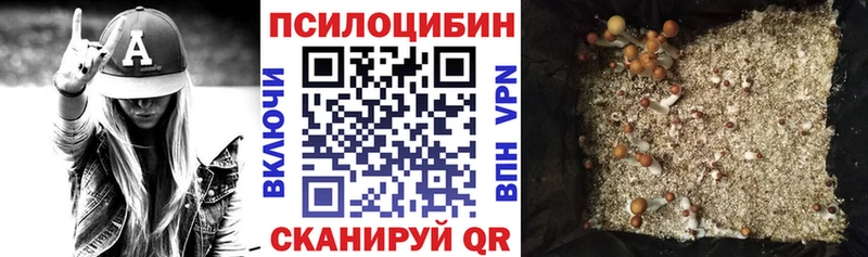 Псилоцибиновые грибы мухоморы  Нижний Новгород 