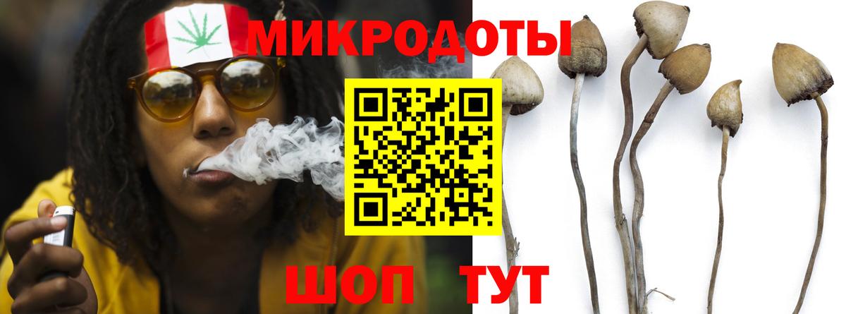Галлюциногенные грибы GOLDEN TEACHER Нижний Новгород